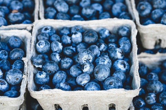 Fresh blueberries picked at peak ripeness offer the best flavor—sweet with a pleasant tartness and firm texture. When using fresh berries, look for plump, firm fruits with a dusty blue coating (called bloom) that indicates freshness and hasn't been excessively handled.