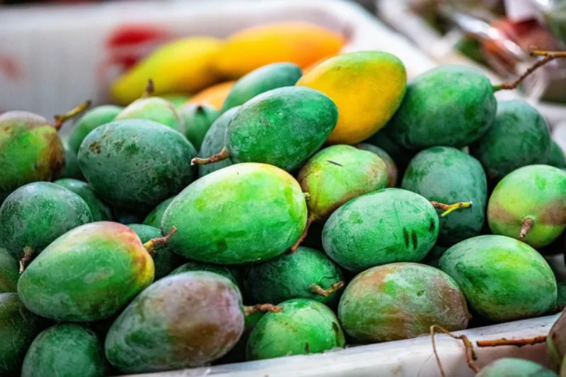 mango for mango pie recipe